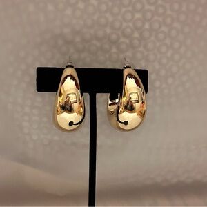 Elegant Gold Hoop Earrings